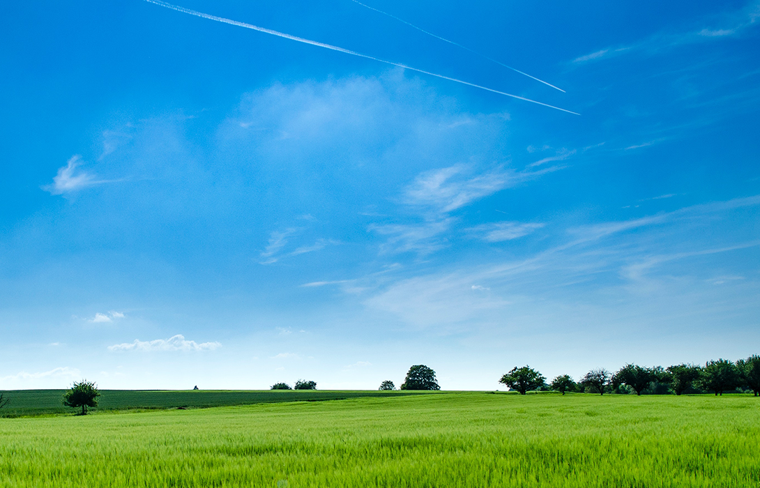 香港全年最全免费资料大全
