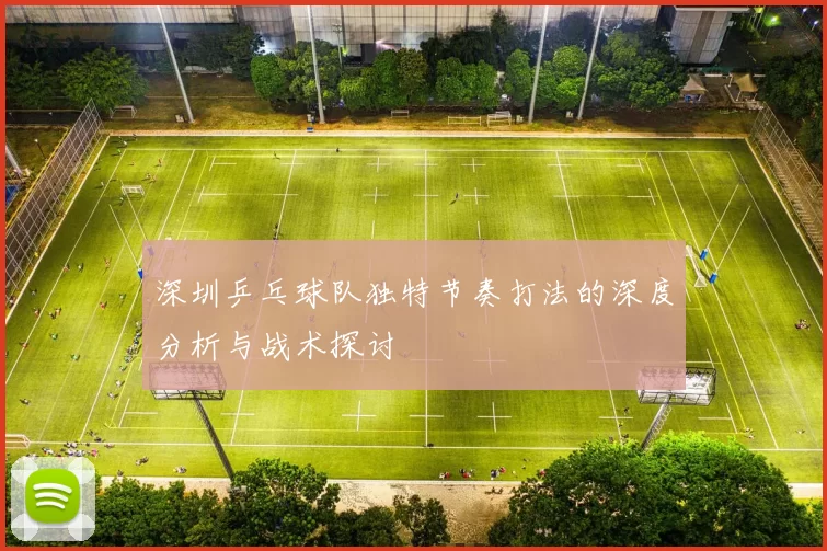 深圳乒乓球队独特节奏打法的深度分析与战术探讨