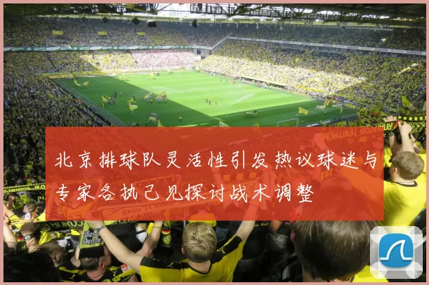 北京排球队灵活性引发热议球迷与专家各执己见探讨战术调整