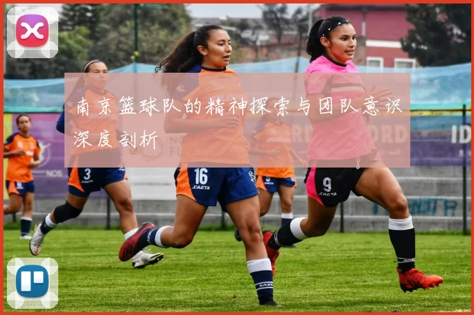 南京篮球队的精神探索与团队意识深度剖析