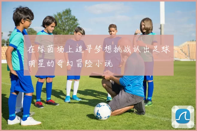 在绿茵场上追寻梦想挑战认出足球明星的奇幻冒险小说