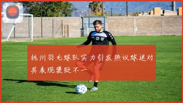 杭州羽毛球队实力引发热议球迷对其表现褒贬不一