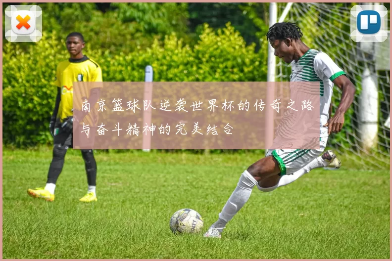南京篮球队逆袭世界杯的传奇之路与奋斗精神的完美结合