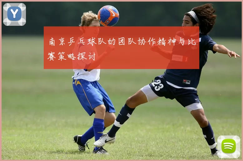 南京乒乓球队的团队协作精神与比赛策略探讨