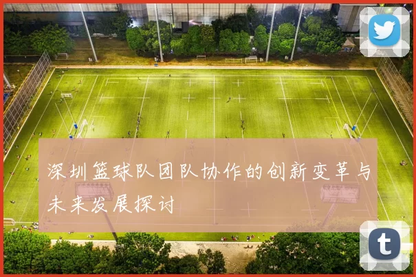 深圳篮球队团队协作的创新变革与未来发展探讨