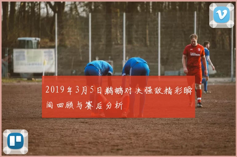 2019年3月5日鹈鹕对决强敌精彩瞬间回顾与赛后分析