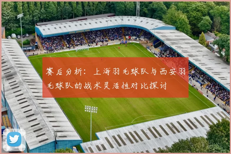 赛后分析：上海羽毛球队与西安羽毛球队的战术灵活性对比探讨