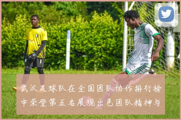 武汉足球队在全国团队协作排行榜中荣登第五名展现出色团队精神与实力