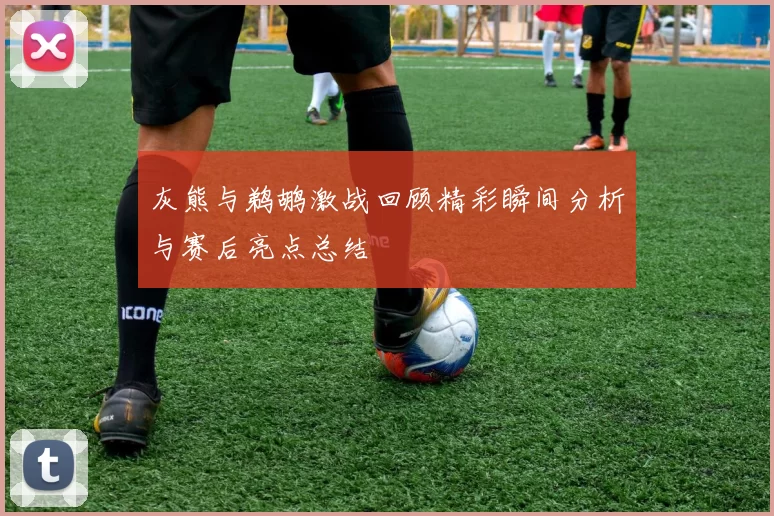 灰熊与鹈鹕激战回顾精彩瞬间分析与赛后亮点总结